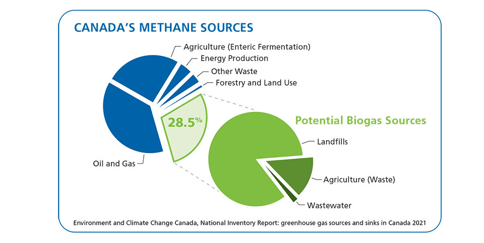 Pie Charts of Canada's Methane Sources and Potential Sources