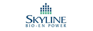 Networking Reception Skyline Energy logo