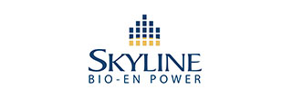Networking Reception Skyline logo