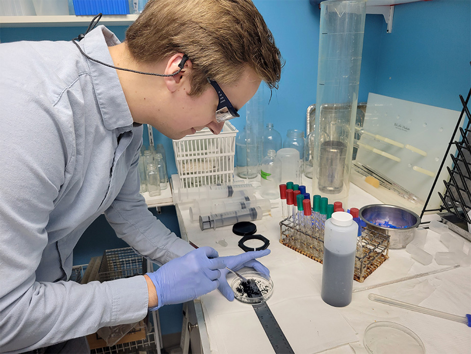 A person examines the contents of a petry dish. There are various test tubes, flasks and bottles on the counter.