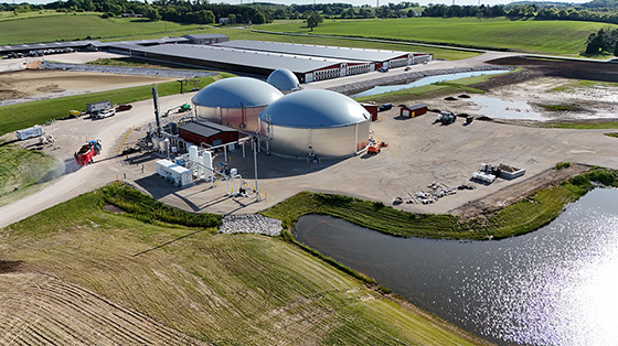 Several digesters bathed in warm sunlight