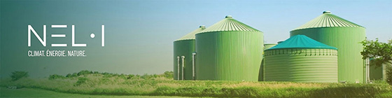 Several digesters bathed in warm sunlight