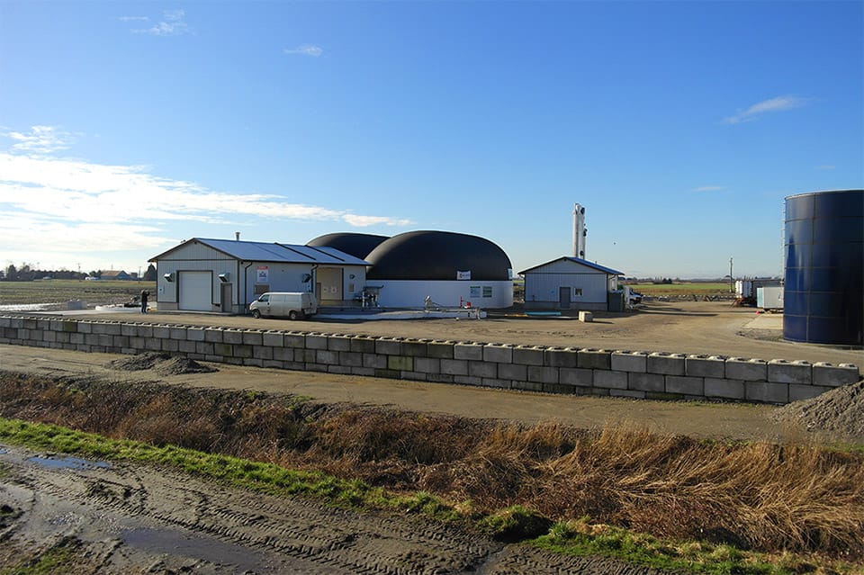 Seabreeze Dairy Farm (Delta)